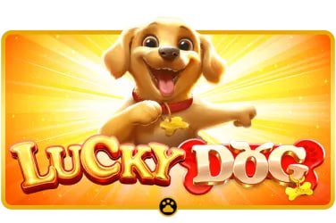 qqslot login casino dashboard with live dealer tables and game menu